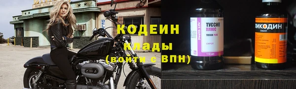 мет Алексин