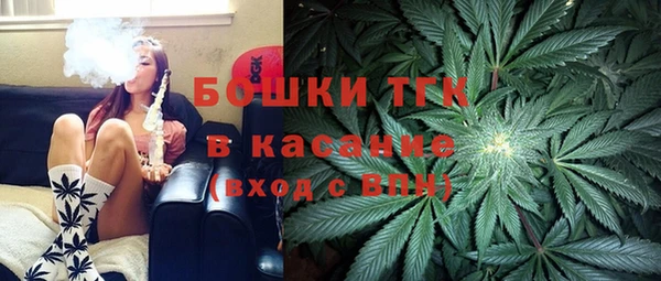 мет Алексин
