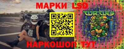 ПСИЛОЦИБИНОВЫЕ ГРИБЫ Заводоуковск