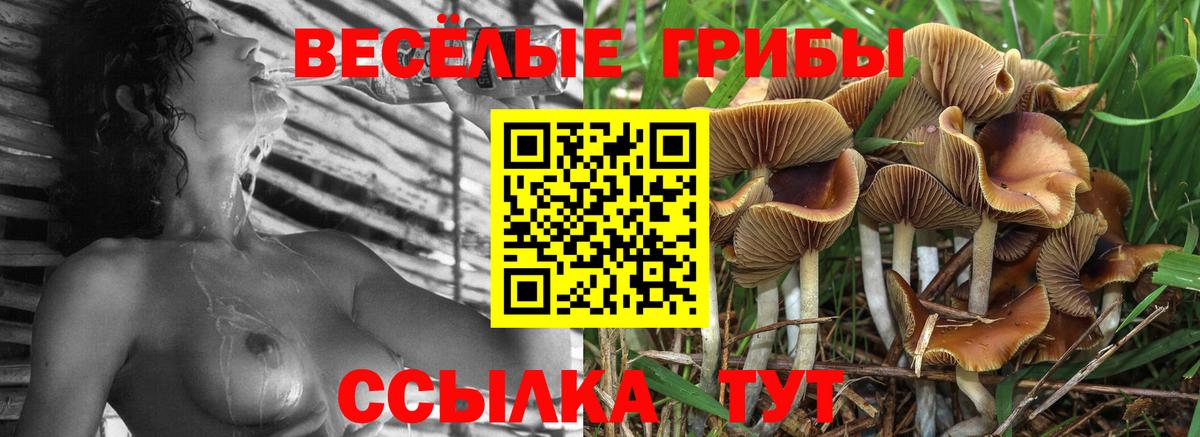 Нурлат  Псилоцибиновые грибы прущие грибы  дарнет шоп  Вход с VPN 